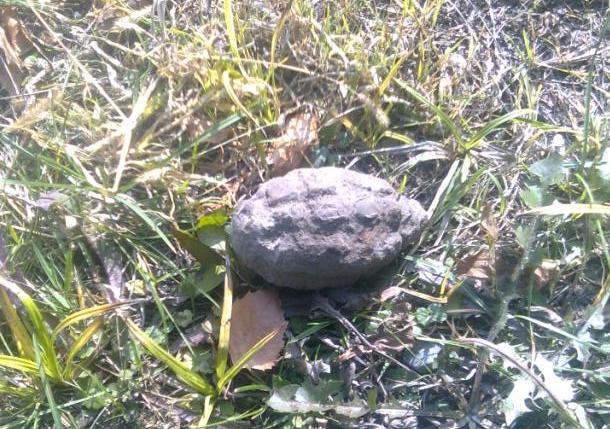 Мешканці Луцького району знайшли снаряд та гранату часів війни