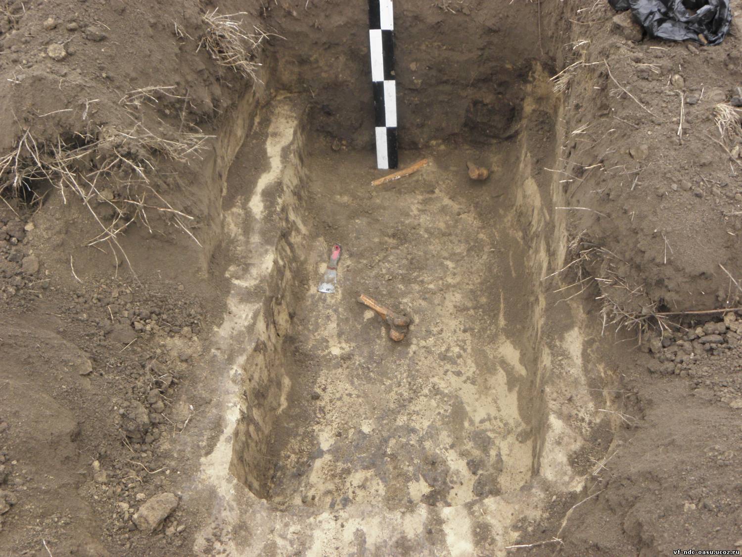 У селі Лаврів Луцького району знайшли поховання XVI-XVII століття