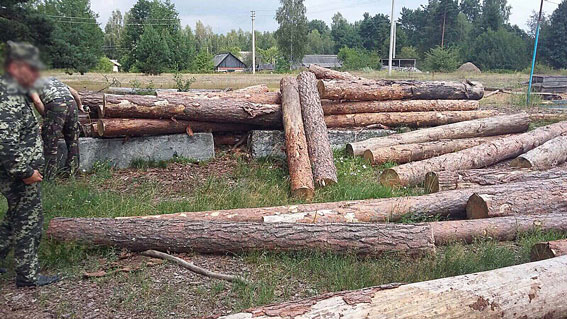 У Старовижівському районі вилучено лісопродукції на півмільйона гривень (фото)