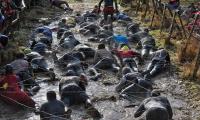 Британські чоловіки 12 км повзали у багнюці