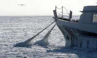 Вперше за 30 років Чорне море замерзло