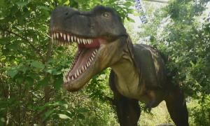 Вчені впевнені, що динозаври знову зявляться на Землі