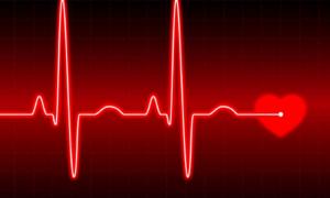 За частотою серцевих скорочень можна визначити можливість передчасної смерті
