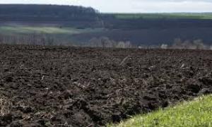 Уряд обіцяє фермерам дешеві кредити на придбання землі