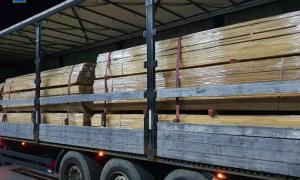 На Закарпатті розкрили схему контрабанди цінної деревини до Євросоюзу