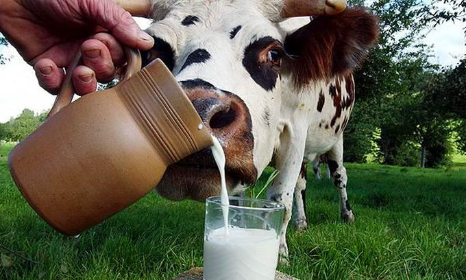 Цены на молоко достигли максимума за 15 лет