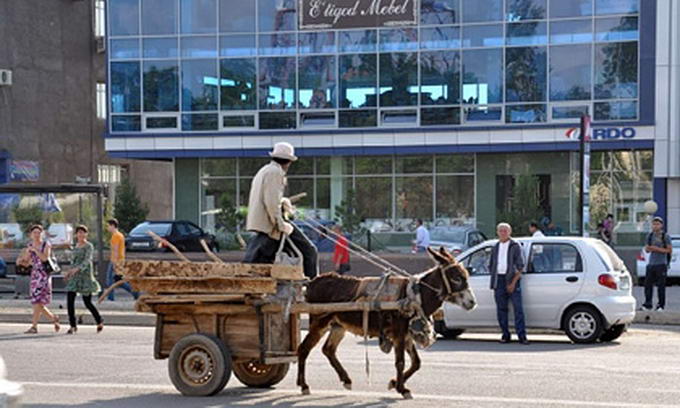 У Ташкенті регламентували правила їзди на віслюках