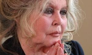 Кумир французів Бріжіт Бардо відзначає 75-річчя