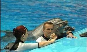 Українці одружились у басейні з дельфінами