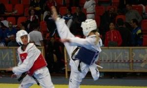 Чемпіонат України зі змішаних єдиноборств стартує у Києві