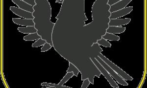 На Івано-Франківщині потонули 2 хлопчиків