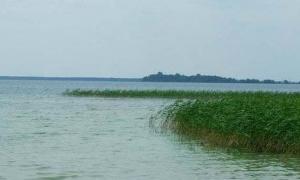 Віктор Ющенко пообіцяв захистити Світязь від білорусів
