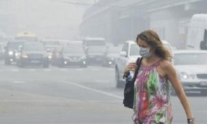 „Уряд Росії знову вводить людей в оману“ – Greenpeace