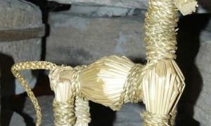 19-річна майстриня у наступному році планує створювати солом’яний одяг