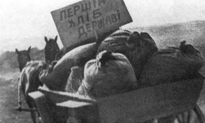 Голодомор не був етноцидом українського народу, стверджує директор Інституту нацпам’яті