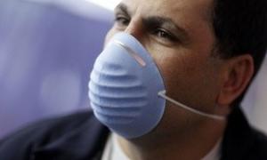 Німеччина стала 8-ю країною, куди проник свинячий грип