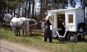 Півгодинна подорож каретою коштуватиме 100 гривень