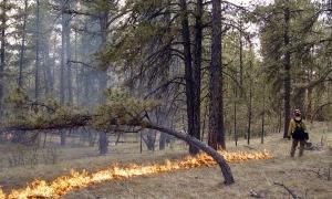 Волинські еменесники оштрафували 240 порушників пожежобезпеки