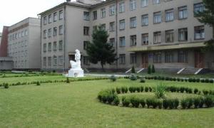 У Луцькому пологовому цьогоріч народилася четверта трійня