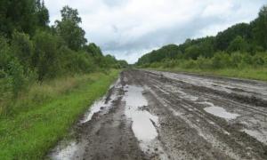 Водій, не розмовляй по телефону в дорозі!  