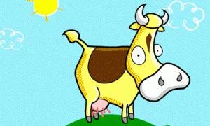 Корова не змогла вистрибнути з басейну американки