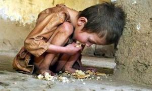 До списку голодуючих країн ООН зарахувала 22 держави