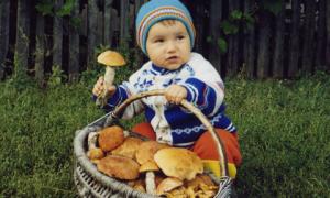 Дітям до 12 років грибів їсти не можна