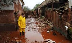 Отрутохімікати з Угорщини з’являться в українських річках через тиждень