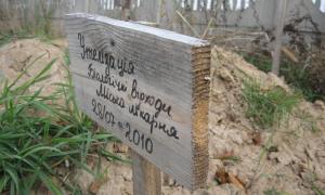 Людські органи після операцій вже не закопують з трупами собак
