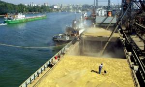 Кабмін ввів квоти на експорт зернових культур