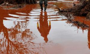 Отруйні речовини з Угорщини в Україні не зафіксовані