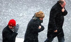 Європу і Америку частково замело снігом