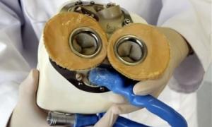 Через п’ять років штучні органи вирощуватимуть на фабриках