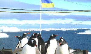 Україна в найближчі десять років добуватиме газ і золото в Антарктиці