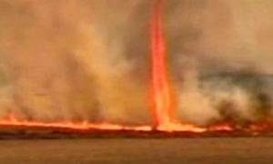 У Бразилії введено надзвичайний режим через лісові пожежі