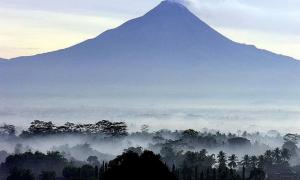 120 чоловік загинуло в Індонезії через виверження вулкана Мерапі