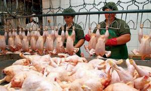 АМКУ зобов’язав виробників м’яса птиці знизити ціни на продукцію