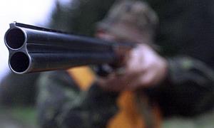 Цьогоріч складено понад триста протоколів на порушників полювання