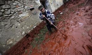 Отруйні відходи з Угорщини потрапили до Чорного моря