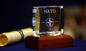 НАТО продовжуватиме співробітництво з Україною