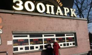 Майже половину тварин Київського зоопарку продали на «чорному» ринку