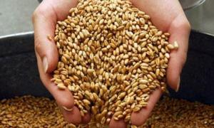 Українські аграрії погрожують Президенту масовими страйками