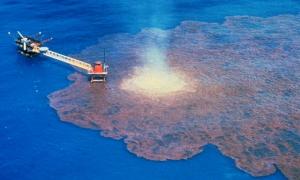 В Мексиканській затоці, де сталася найбільша екологічна катастрофа, дозволять ловити рибу