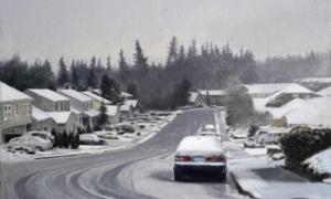 Під час снігопаду водіям важко побачити на дорогах пішоходів