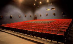 В кіно сьогодні «Диявол», «Некерований», «Я люблю тебе, Філіп Морріс», «Строкаті сутінки».ВІДЕО