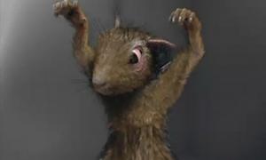 З російськими алкоголіками боротиметься «Адська білочка». Відео