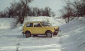 У Володимирі-Волинському загинув водій «Ниви»