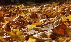 Прогноз погоди в Україні на вівторок, 20 жовтня