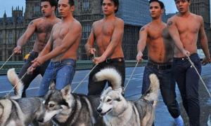 У Лондоні фільм «Затемнення» рекламували вовки