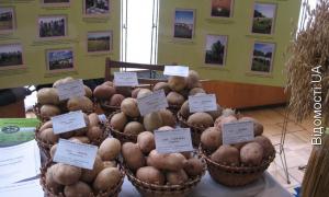 Для сільгоспвиробників виділять 40% торгових площ